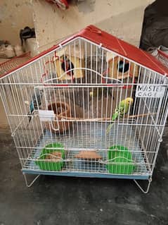 2 Pair Of Australian Parrot With Cage