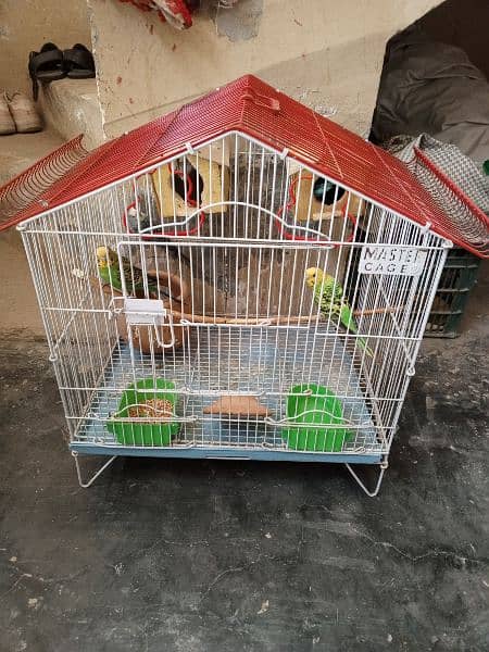 2 Pair Of Australian Parrot With Cage 1