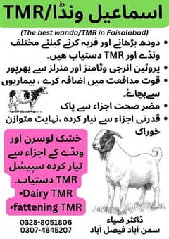 dairy TMR , fattening TMR & poultry feed 0328-8051806