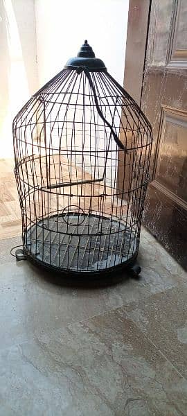 Parrot Cage for sale 1