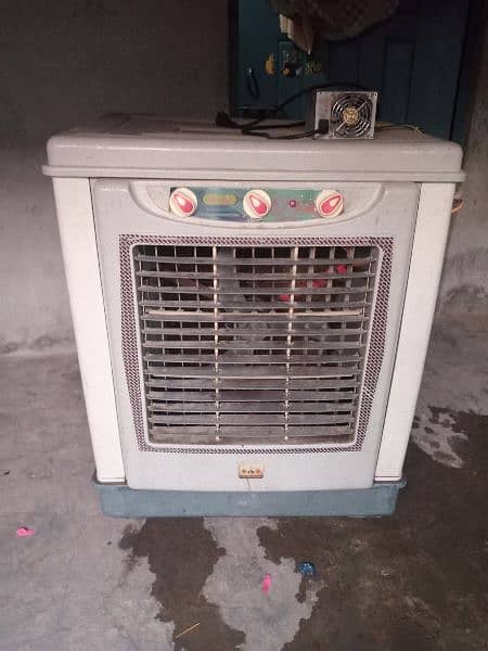 12 volt DC cooler 1
