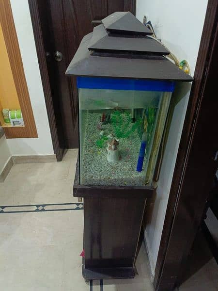 Aquarium For Sale 1