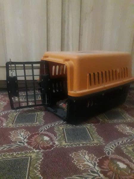 new cat cage available 2
