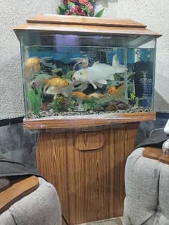 Aquarium 0