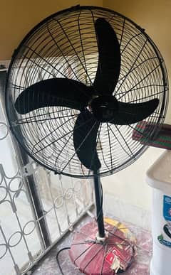 best fan and new i use for 5 day