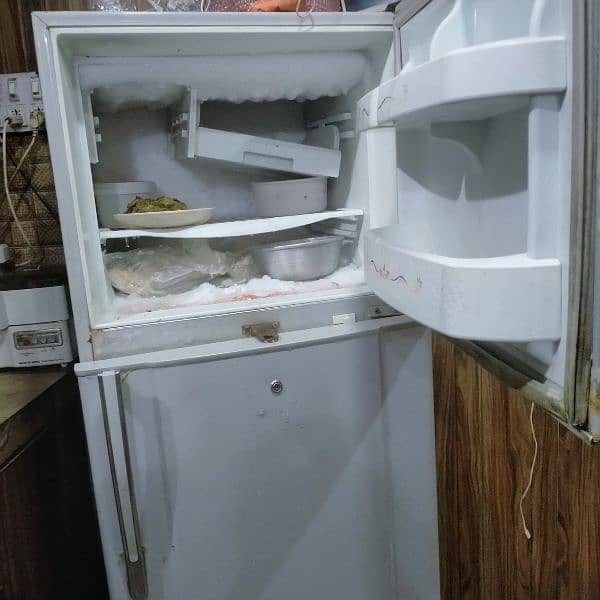 medium size freezer 3