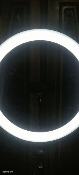 Ring Light With Tripod 0