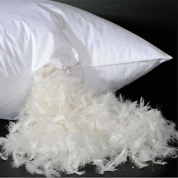 Ultra soft Duck feather pillows 1