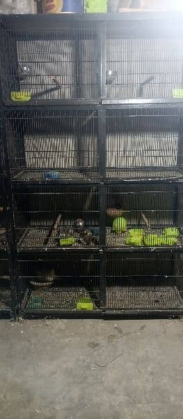 different cage for sale 7