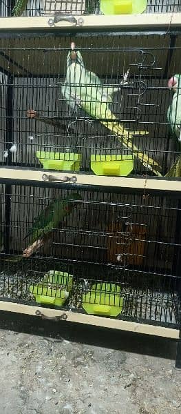 different cage for sale 16
