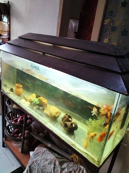 4 ft Aquarium with strong iron stand in cheap price 2