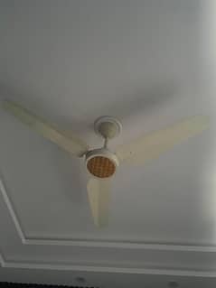 Slightly Used Ceiling Fans Best Price