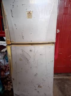 frige for  sale .