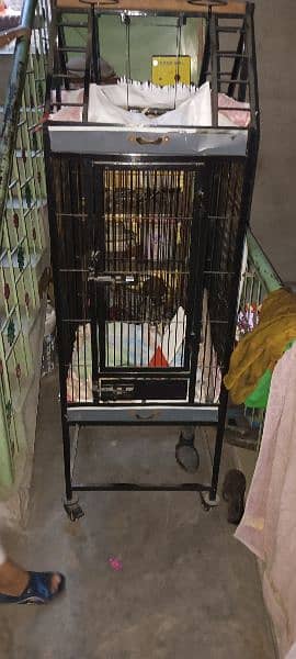 Bird Cage for sale on reasonable price 1