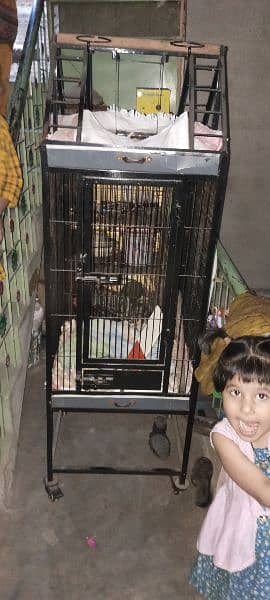 Bird Cage for sale on reasonable price 2