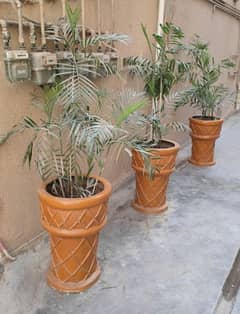 best for outdoor office home . one pots price 5000 0
