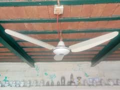 Parwaz Ceiling Fan new condition available for sale 0