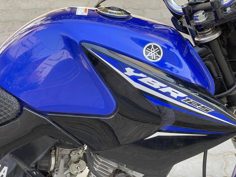 Yamaha YBR 2023 APL 4 Purplish blue (0322_3276769) 6