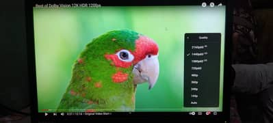 LENOVO 22 INCH HD IPS PANEL GAMING HDMI LED MONITOR [03121730728]