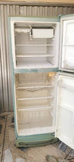 pel fridge 0