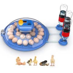 26 eggs capacity fully automatic imported incubator AC/DC