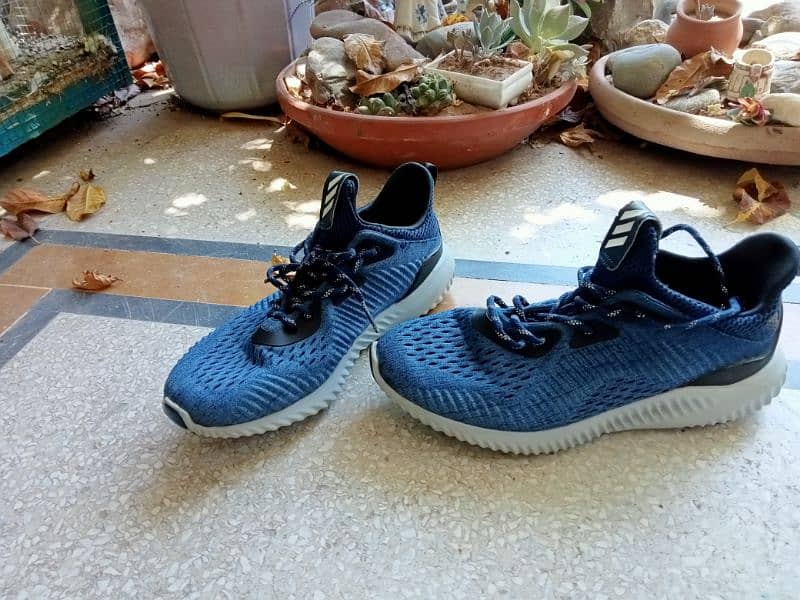 Adidas Alphabounce original 0