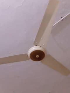 Ceiling fan Sonex 56" in A1 condition
