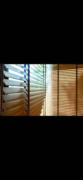 window blinds, Roller, Wooden blinds, Zebra Blinds, Office Blinds 8