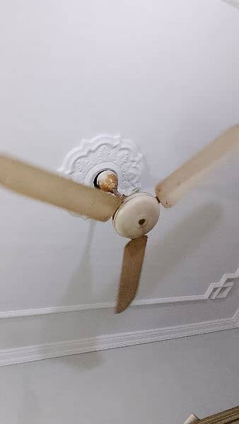 7 Ceiling fans 2