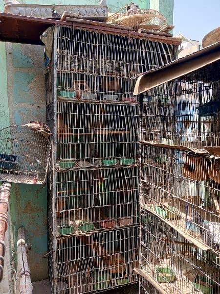 12 khany ka cage he full behtareen condition he. . 03147727422 0