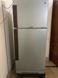 PEL fridge desire model medium size