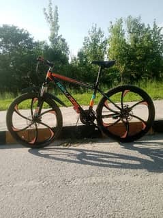 Royal Rider mountain bicycle for sale