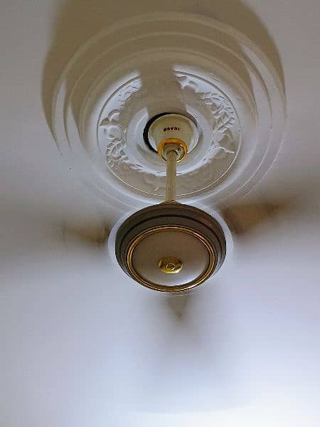 Ceiling Fan - Royal Fan Deluxe 56" 1