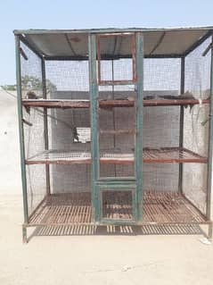 The cage animal Pinjra Lohe ka Pinjra, parrots Pinjra