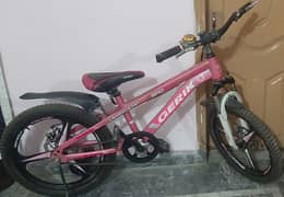 Used Bicycle 20 inches  1 month used just like new only for 24000.