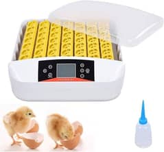 56 eggs hhd fully automatic incubator