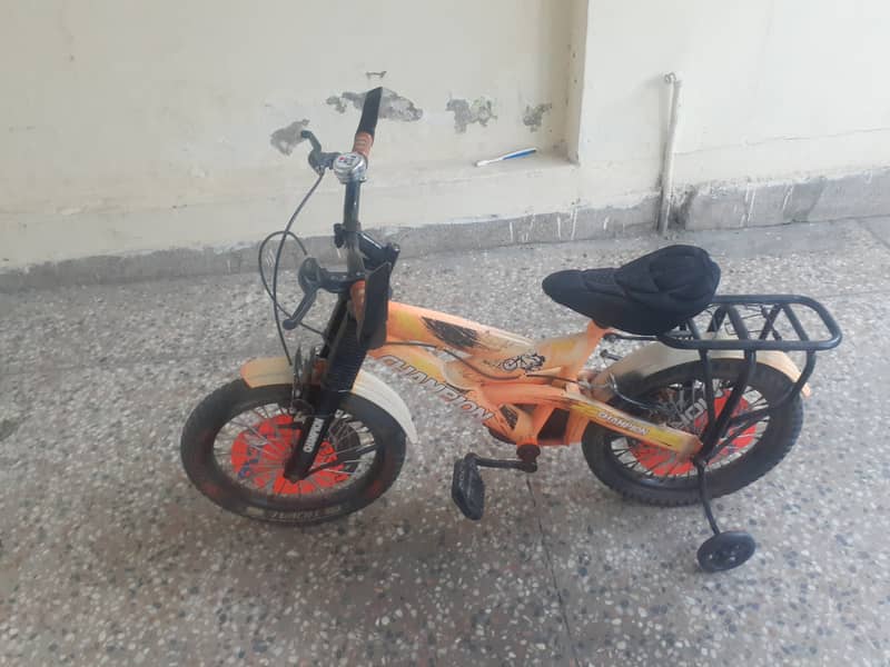 Bicycle for kids 1