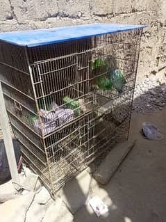 Australian Parrot Birds cage 0