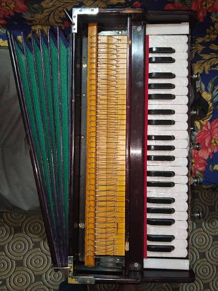 Indian harmonium 0