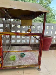 Bird Cage with swings and other accessories