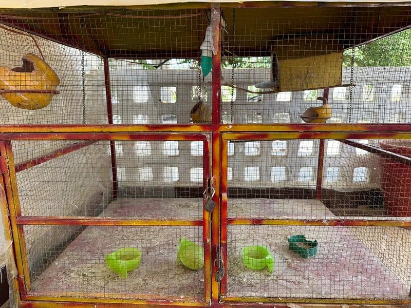 Bird Cage with swings and other accessories 1