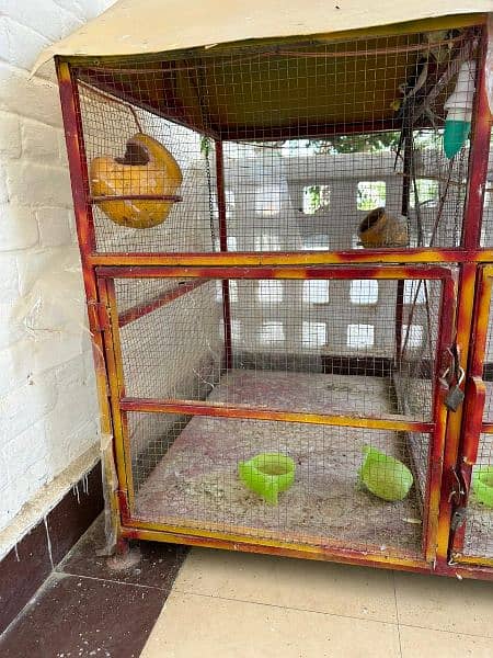 Bird Cage with swings and other accessories 2