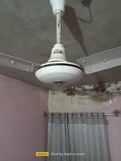Wahid ceiling Fan 0