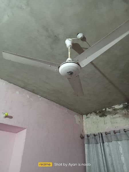 Wahid ceiling Fan 1