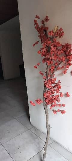 red colour tree 0