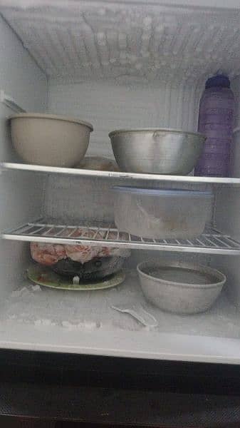 pel refrigerator. good condition 2