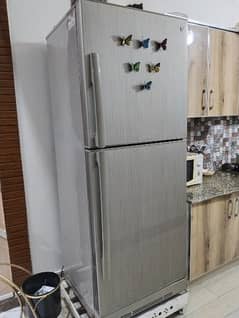 Medium size fridge