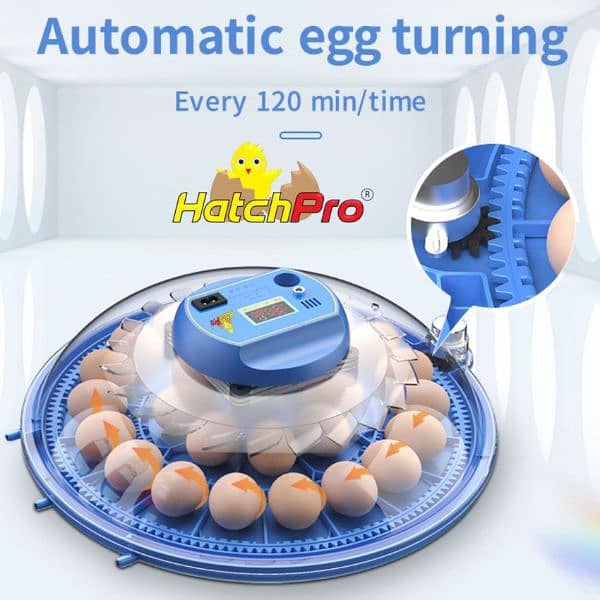 fully automatic imported incubator AC DC he 2