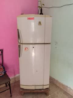 PEL REFRIGERATOR