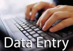 Females and Males Online part time home based data typing job availabl 0